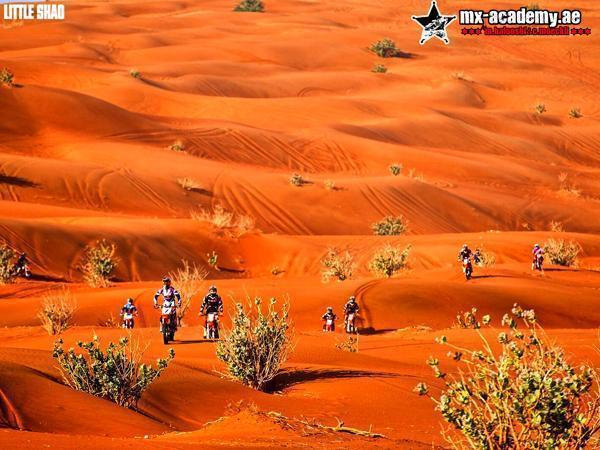 Motorbike desert safari Dubai: small groups of riders weave between green shrubs across rolling orange dunes