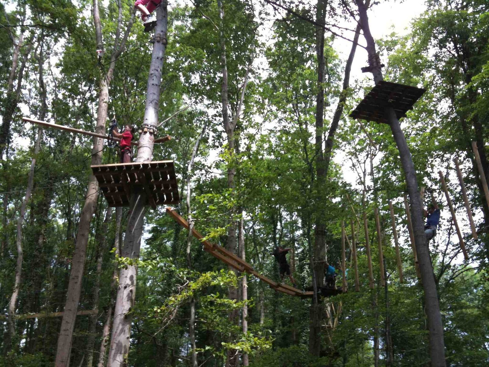Switzerland activities in the treetops: climbers cross wooden beams and platforms high up between tall trees