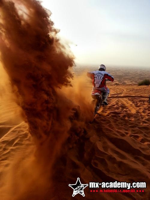 What to do in Dubai for a desert day: a rider in a number 50 jersey climbs a red dune behind a wall of sand